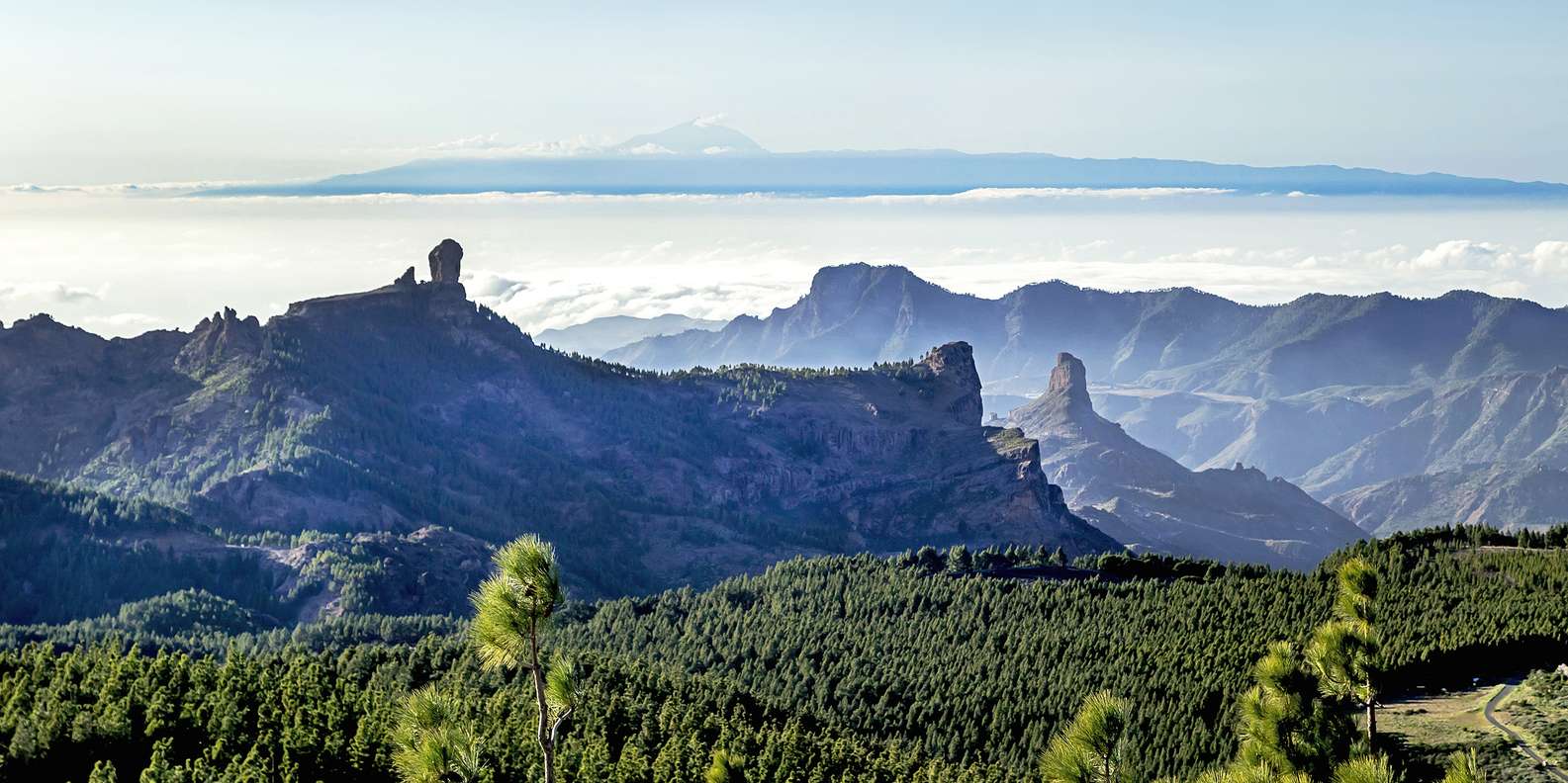 View from Pico de las Nieves — island panorama