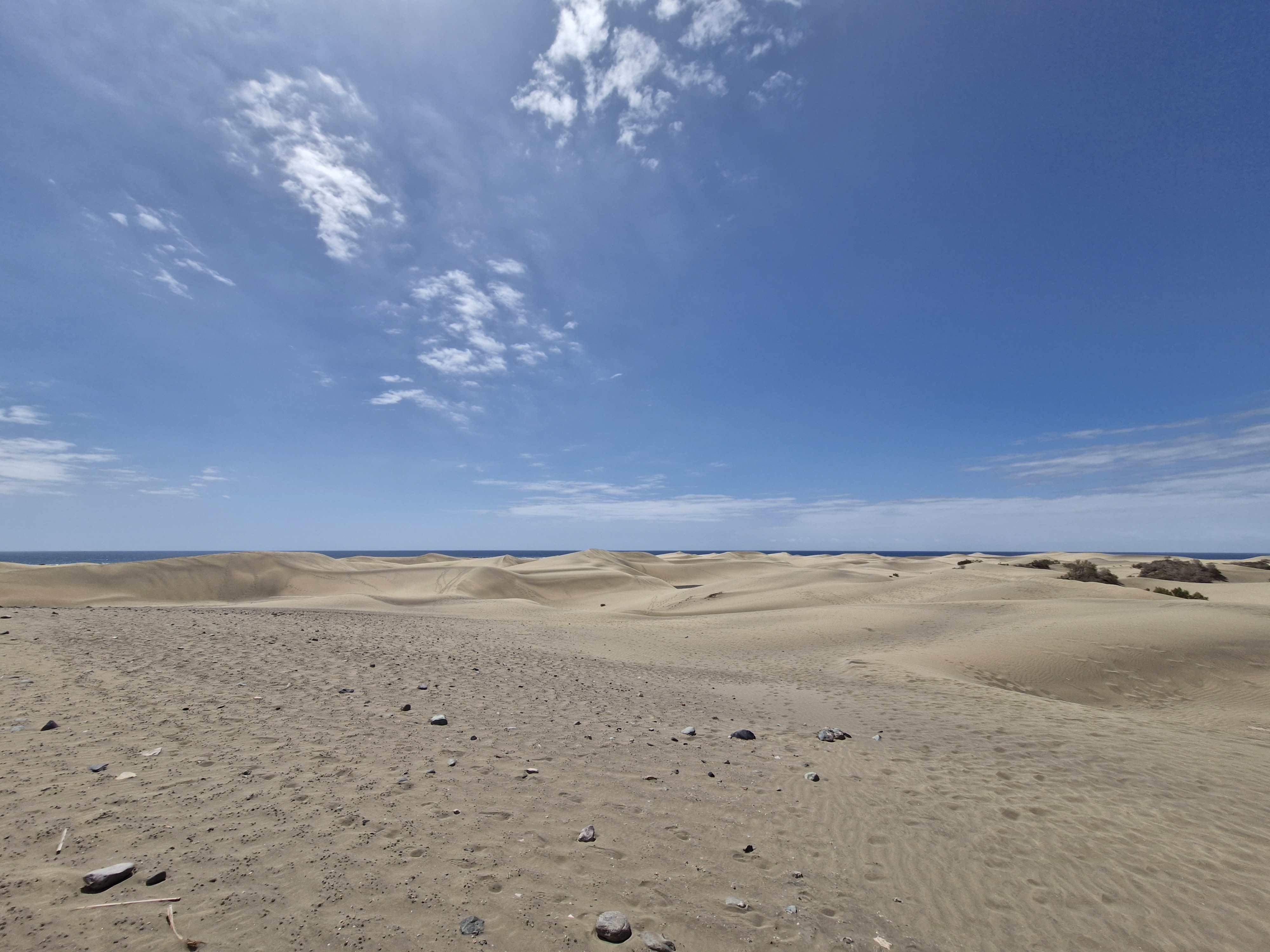 Maspalomas dunes — nature reserve