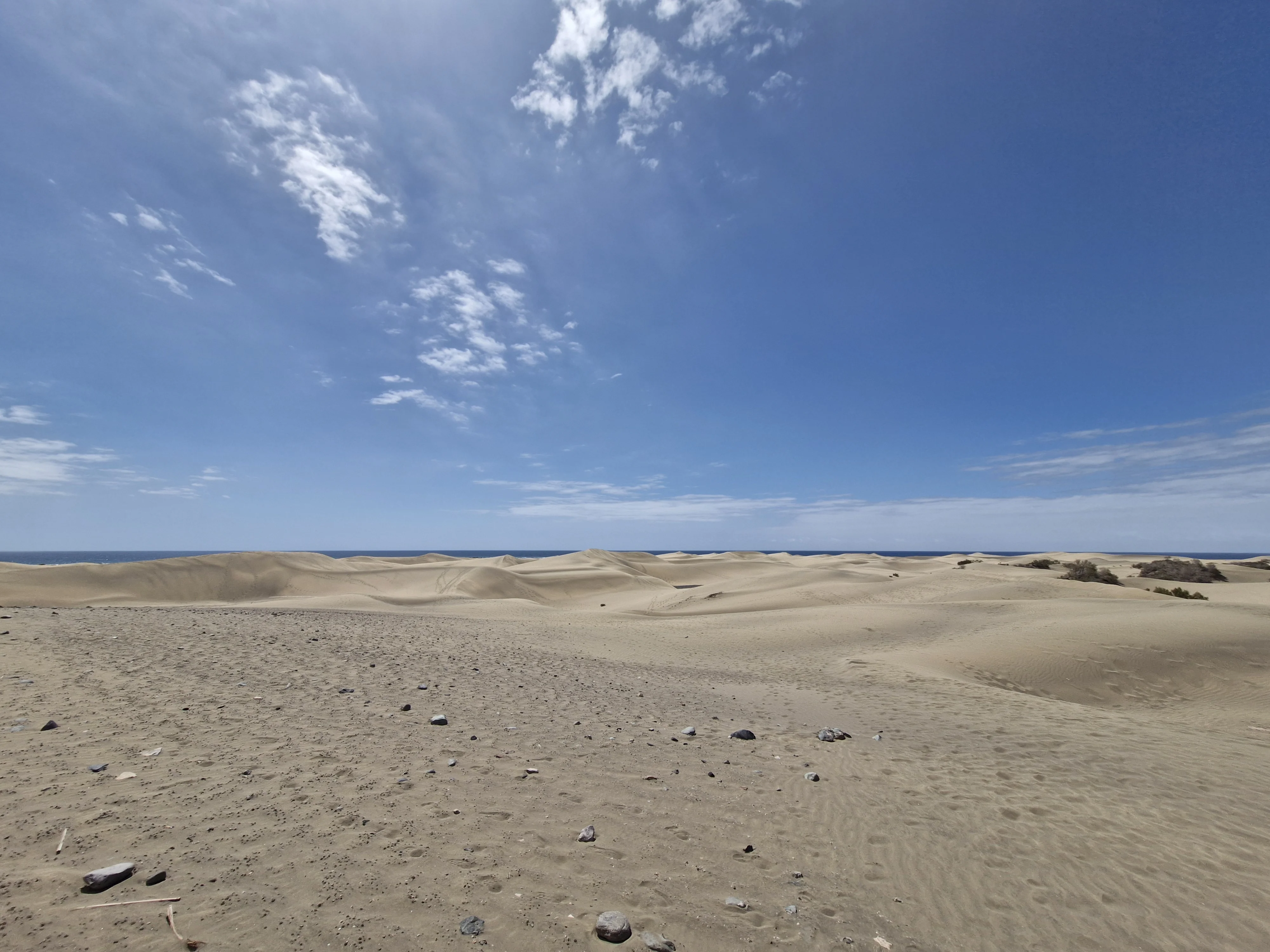 Wydmy w Maspalomas — naturalny rezerwat
