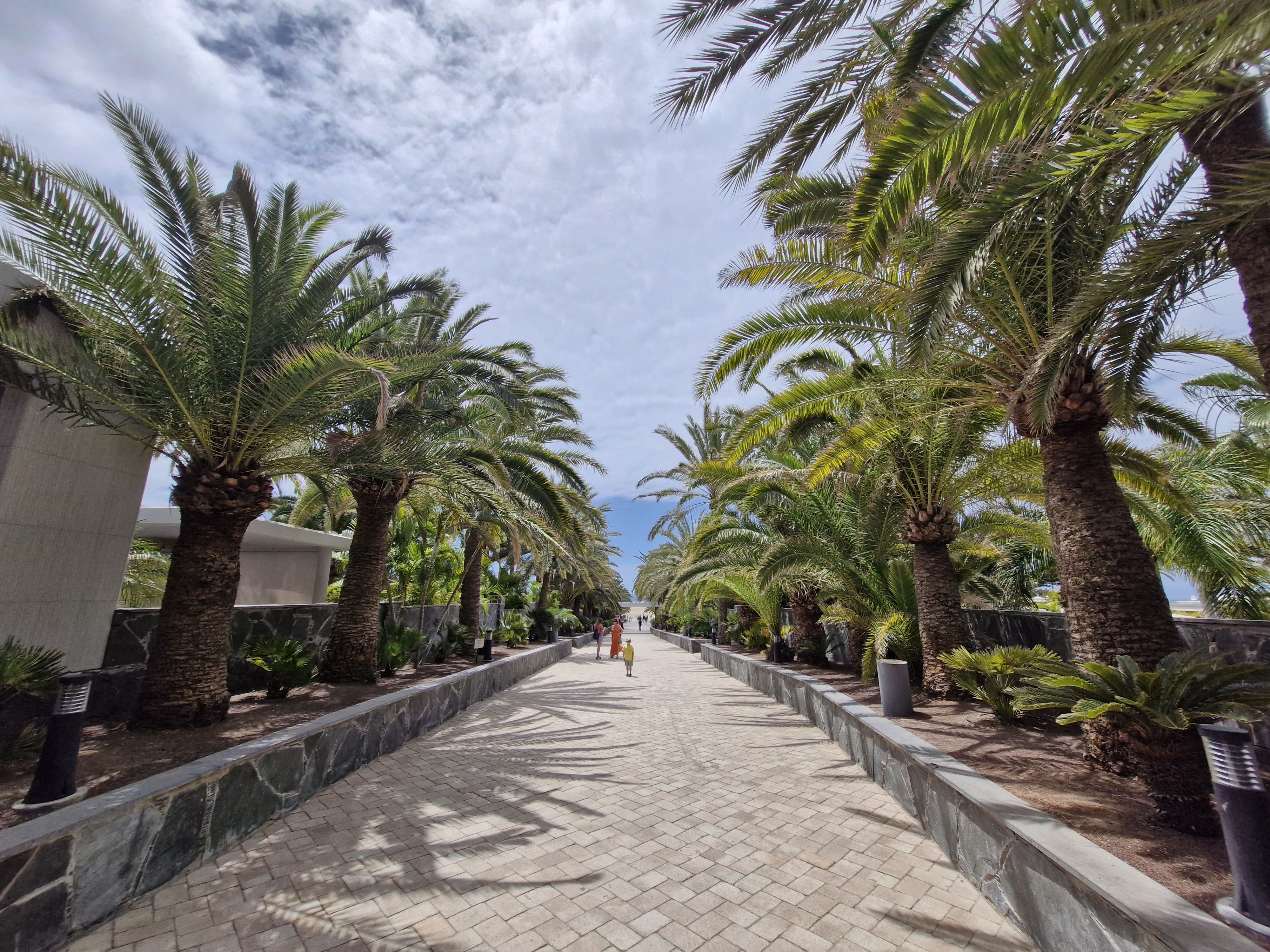 Maspalomas — palm-lined promenade