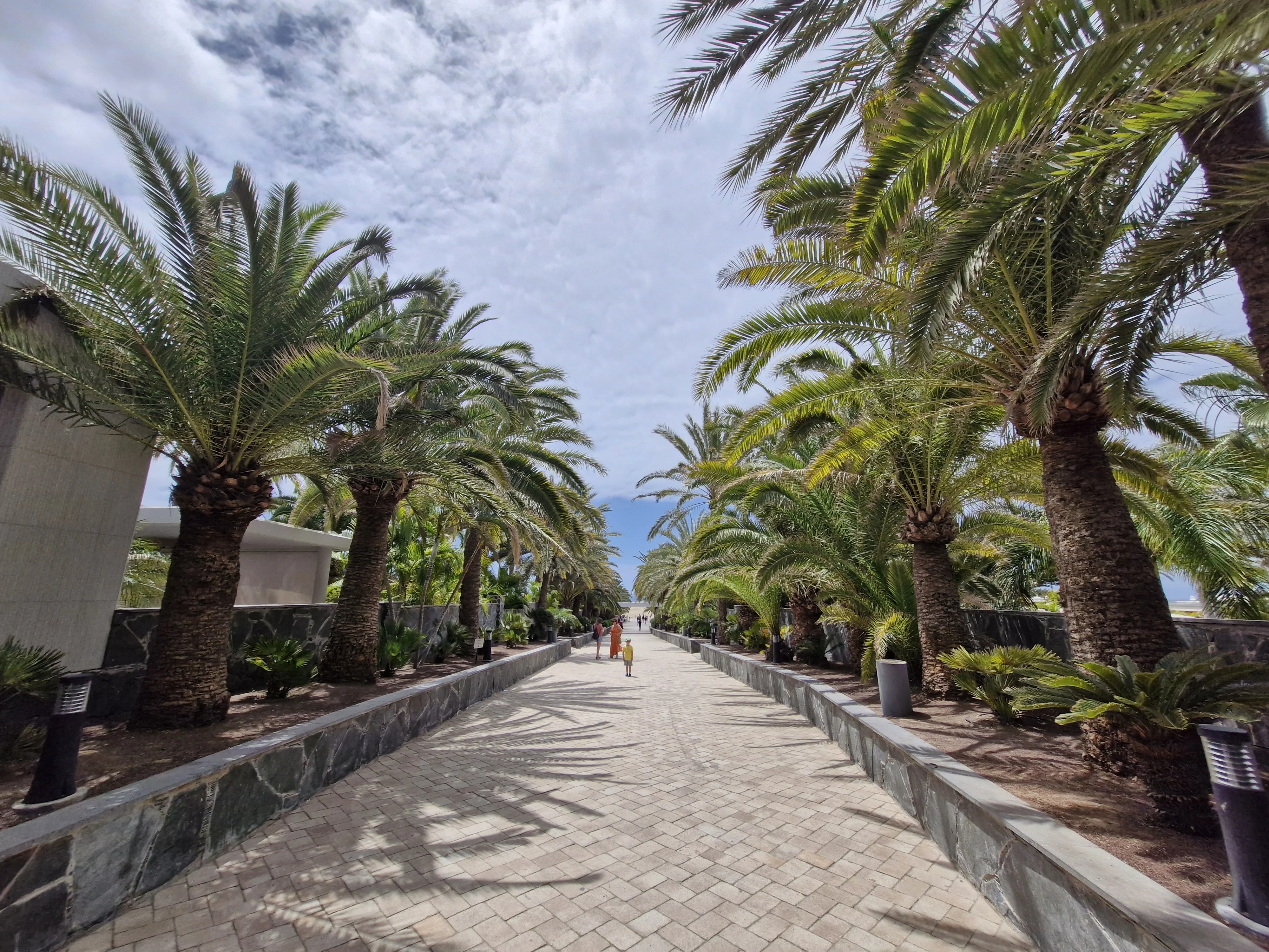 Maspalomas — palmowa promenada